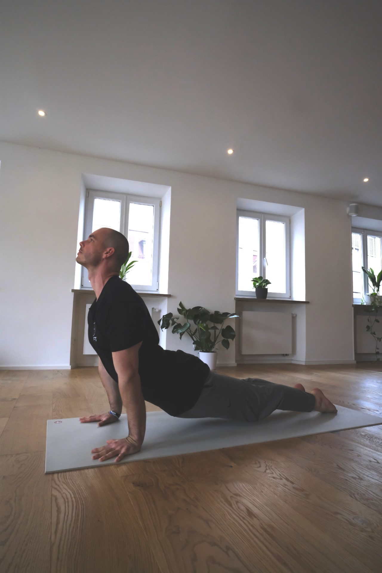 LOFT - Tim - Upward Dog